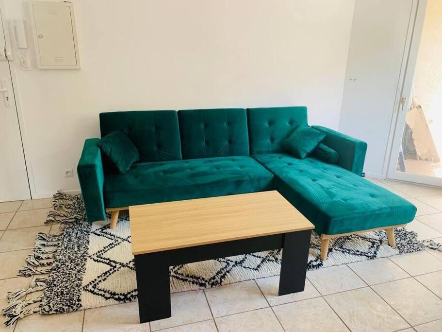 Appartement Rangeuil Toulouse Eksteriør billede